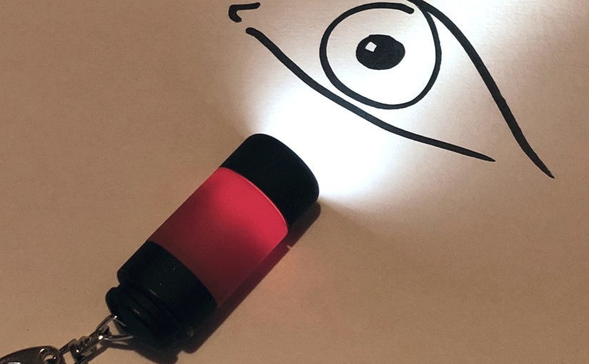 15 USOS DE LA LINTERNA EN&nbsp;CONSULTA